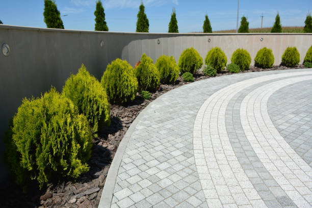 Best Commercial Driveway Pavers  in Park City, KS